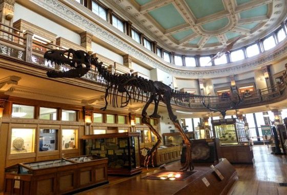Montréal CityCrunch | On a testé le Musée RedPath