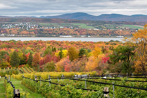 deux-nuits-sur-ile-orleans-trip-quebec-sortie-automne-montreal-city-crunch
