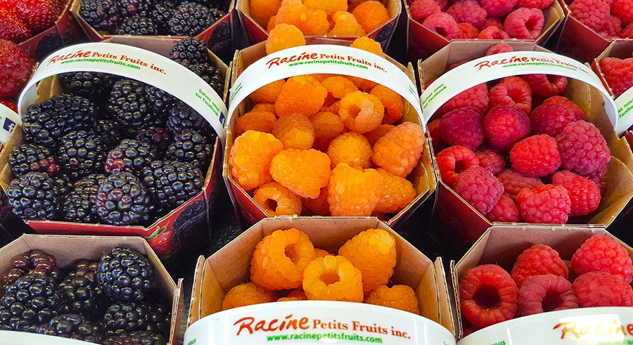 marche-jean-talon-montreal-citycrunch-