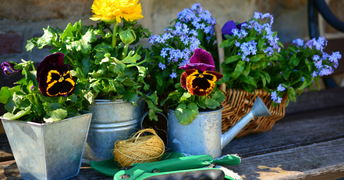 bons-plans-pour-amenager-jardin-balcon-blogue-montreal-citycrunch