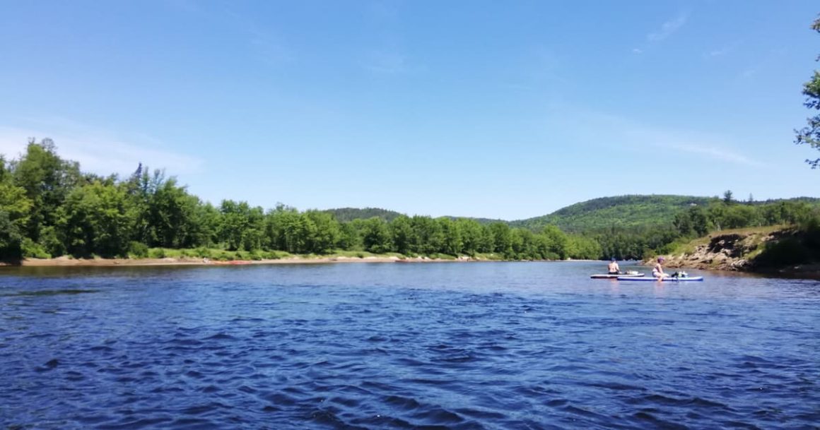 6 bonnes raisons de tester le SUP sur la Rivière Rouge Montréal