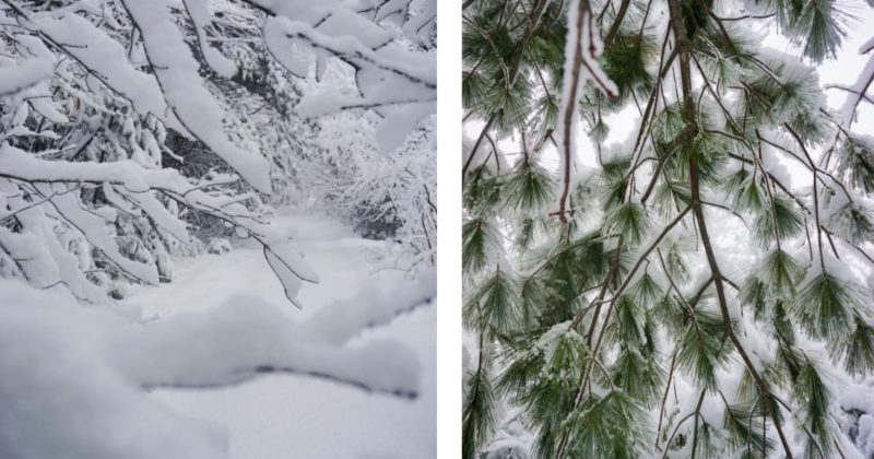 Les_plus_belles_photos_de_Montreal_sous_la_neige