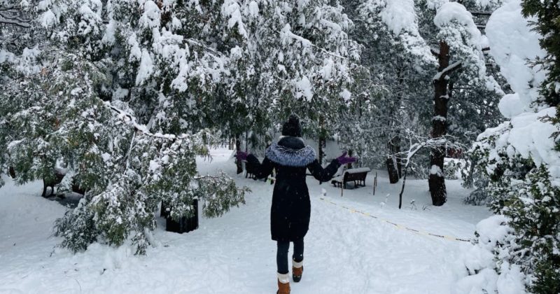 Les_plus_belles_photos_de_Montreal_sous_la_neige