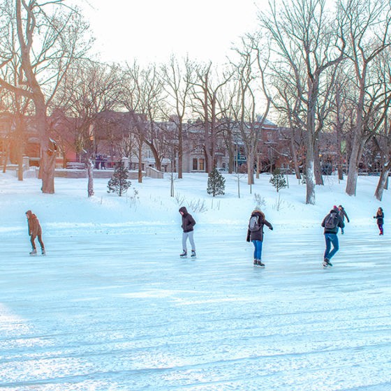 patiner-parc-lafontaine-montreal-citycrunch-blog