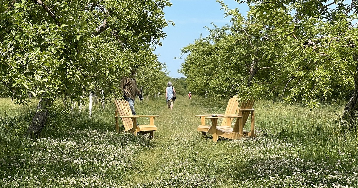pommiers-la-cidrerie-lacroix-laurentides