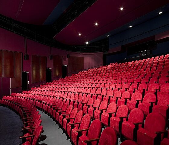 Salle de spectacle - Maison Théâtre
